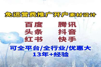 百度广告投放策略优化及成功案例解析
