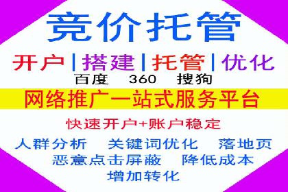 SEM推广公司成功案例：助力企业实现品牌多元化发展